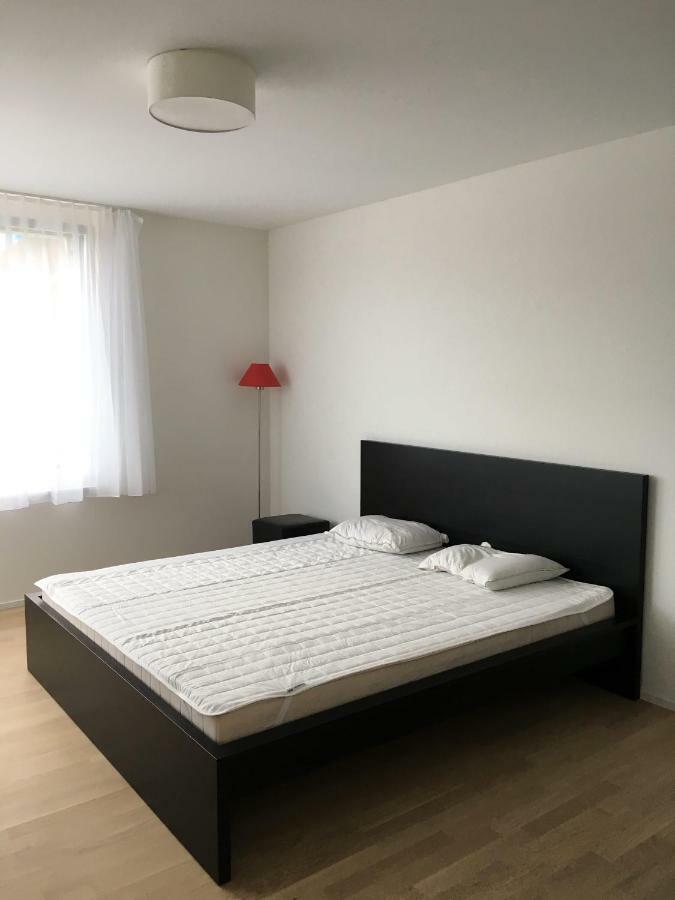 Close to Zürich centre&Airport Kloten Exterior foto